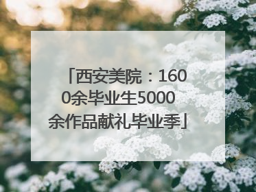 西安美院：1600余毕业生5000余作品献礼毕业季