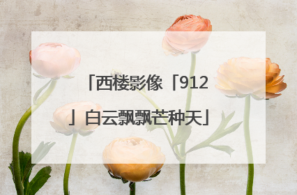 西楼影像「912」白云飘飘芒种天