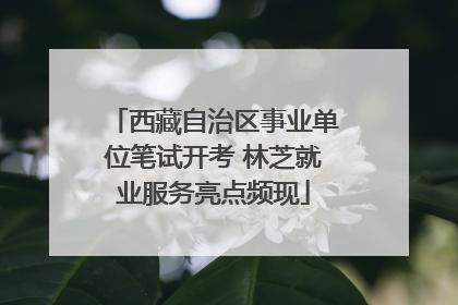 西藏自治区事业单位笔试开考 林芝就业服务亮点频现