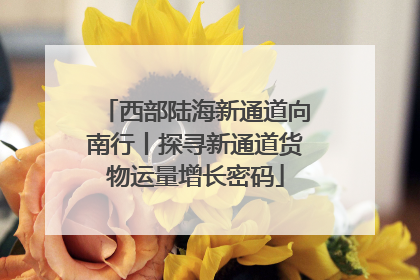 西部陆海新通道向南行丨探寻新通道货物运量增长密码