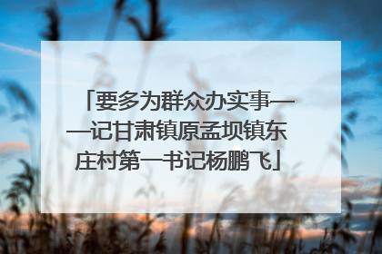 要多为群众办实事——记甘肃镇原孟坝镇东庄村第一书记杨鹏飞