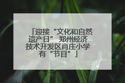 迎接“文化和自然遗产日” 郑州经济技术开发区肖庄小学有“节目”