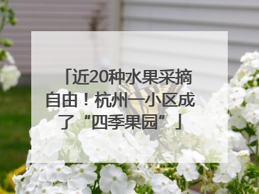 近20种水果采摘自由！杭州一小区成了“四季果园”