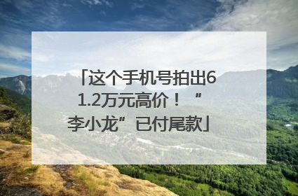 这个手机号拍出61.2万元高价！“李小龙”已付尾款