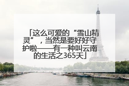 这么可爱的“雪山精灵”，当然是要好好守护啦——有一种叫云南的生活之365天