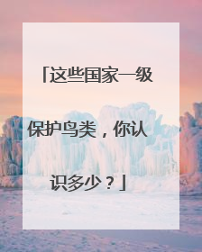 这些国家一级保护鸟类，你认识多少？