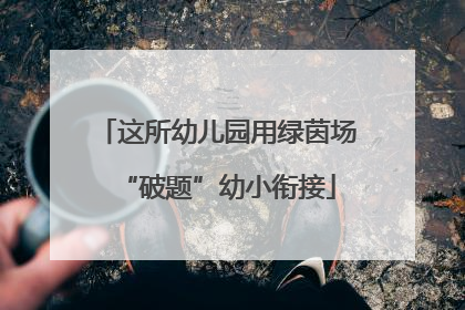 这所幼儿园用绿茵场“破题”幼小衔接