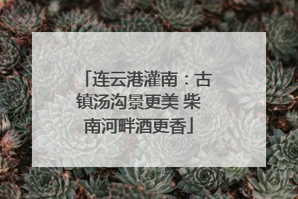 连云港灌南：古镇汤沟景更美 柴南河畔酒更香