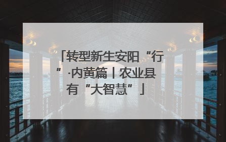 转型新生安阳“行”·内黄篇丨农业县有“大智慧”