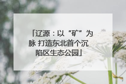 辽源：以“矿”为脉 打造东北首个沉陷区生态公园