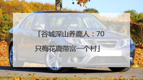 谷城深山养鹿人：70只梅花鹿带富一个村