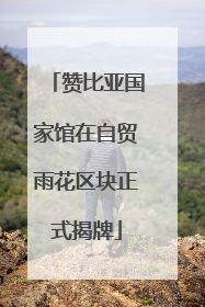 赞比亚国家馆在自贸雨花区块正式揭牌
