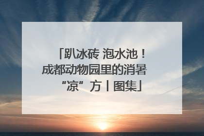 趴冰砖 泡水池！成都动物园里的消暑“凉”方丨图集