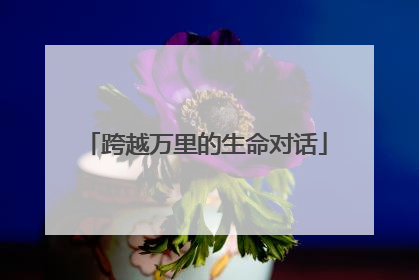 跨越万里的生命对话