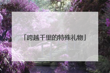 跨越千里的特殊礼物