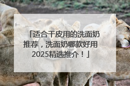 适合干皮用的洗面奶推荐，洗面奶哪款好用2025精选推介！