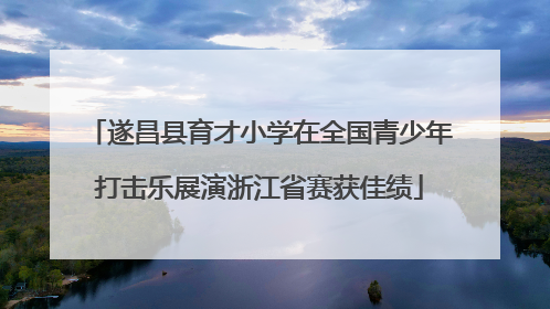 遂昌县育才小学在全国青少年打击乐展演浙江省赛获佳绩