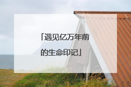 遇见亿万年前的生命印记