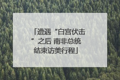 遭遇“白宫伏击”之后 南非总统结束访美行程