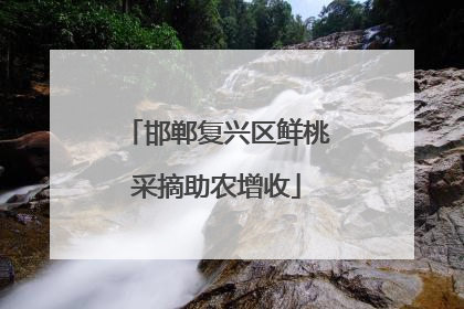 邯郸复兴区鲜桃采摘助农增收