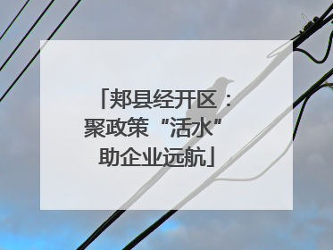 郏县经开区：聚政策“活水” 助企业远航