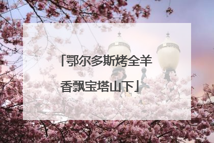 鄂尔多斯烤全羊香飘宝塔山下