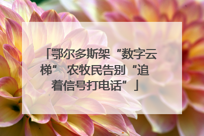 鄂尔多斯架“数字云梯” 农牧民告别“追着信号打电话”