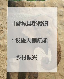 鄄城县彭楼镇：设施大棚赋能乡村振兴