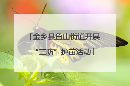 金乡县鱼山街道开展“三防”护苗活动