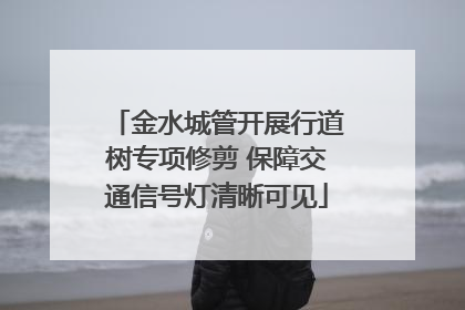 金水城管开展行道树专项修剪 保障交通信号灯清晰可见