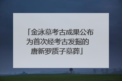 金泳墓考古成果公布 为首次经考古发掘的唐新罗质子墓葬