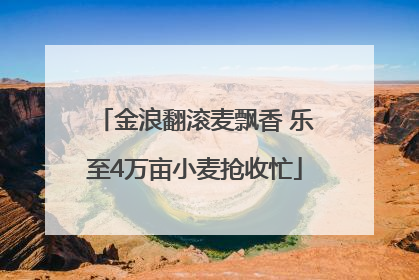 金浪翻滚麦飘香 乐至4万亩小麦抢收忙