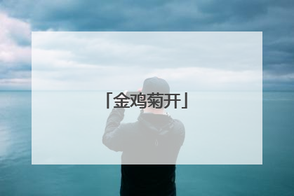 金鸡菊开