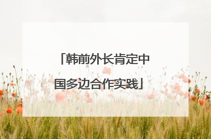 韩前外长肯定中国多边合作实践