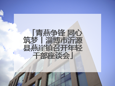 青燕争锋 同心筑梦丨淄博市沂源县燕崖镇召开年轻干部座谈会