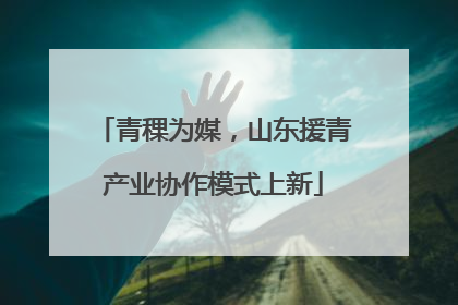 青稞为媒，山东援青产业协作模式上新