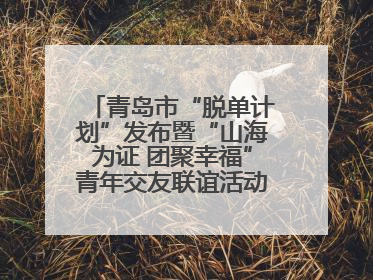 青岛市“脱单计划”发布暨“山海为证 团聚幸福”青年交友联谊活动浪漫开启