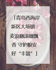 青岛西海岸新区大场镇：麦浪翻滚穗飘香 守护粮安好“丰景”