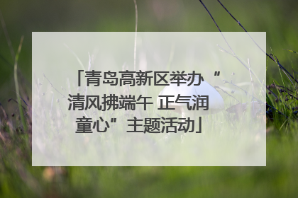 青岛高新区举办“清风拂端午 正气润童心”主题活动