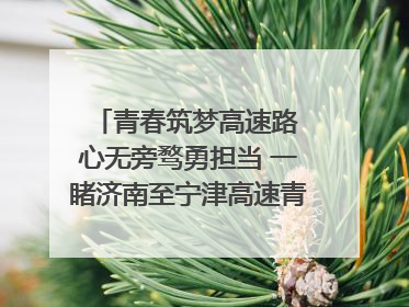 青春筑梦高速路 心无旁骛勇担当 一睹济南至宁津高速青年的young子
