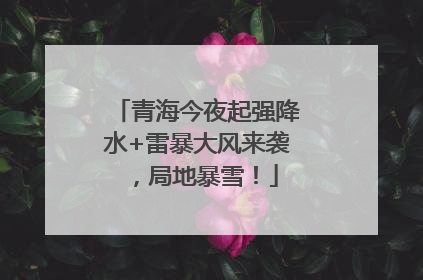青海今夜起强降水+雷暴大风来袭，局地暴雪！