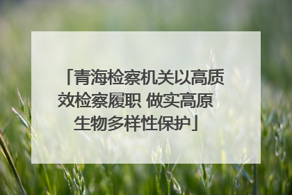 青海检察机关以高质效检察履职 做实高原生物多样性保护