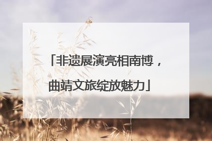 非遗展演亮相南博，曲靖文旅绽放魅力