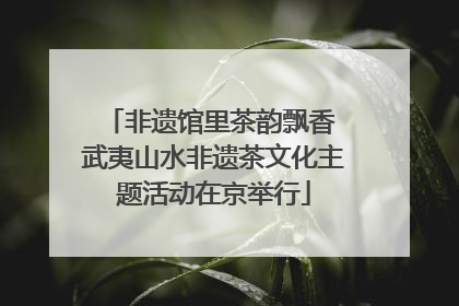 非遗馆里茶韵飘香 武夷山水非遗茶文化主题活动在京举行