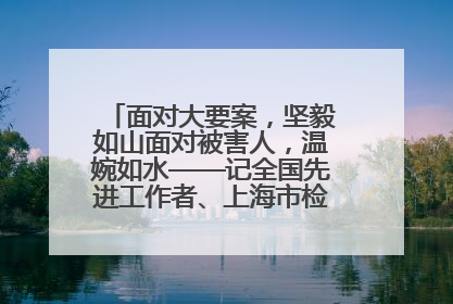 面对大要案，坚毅如山面对被害人，温婉如水——记全国先进工作者、上海市检察院经济犯罪检察部主任马玮玮
