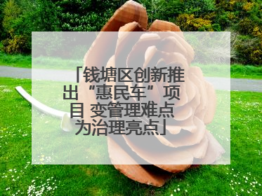 钱塘区创新推出“惠民车”项目 变管理难点为治理亮点