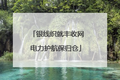 银线织就丰收网 电力护航保归仓