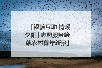 银龄互助 情暖夕阳│志愿服务绘就农村暮年新景