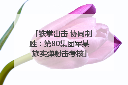 铁拳出击 协同制胜：第80集团军某旅实弹射击考核