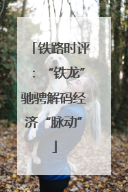 铁路时评：“铁龙”驰骋解码经济“脉动”